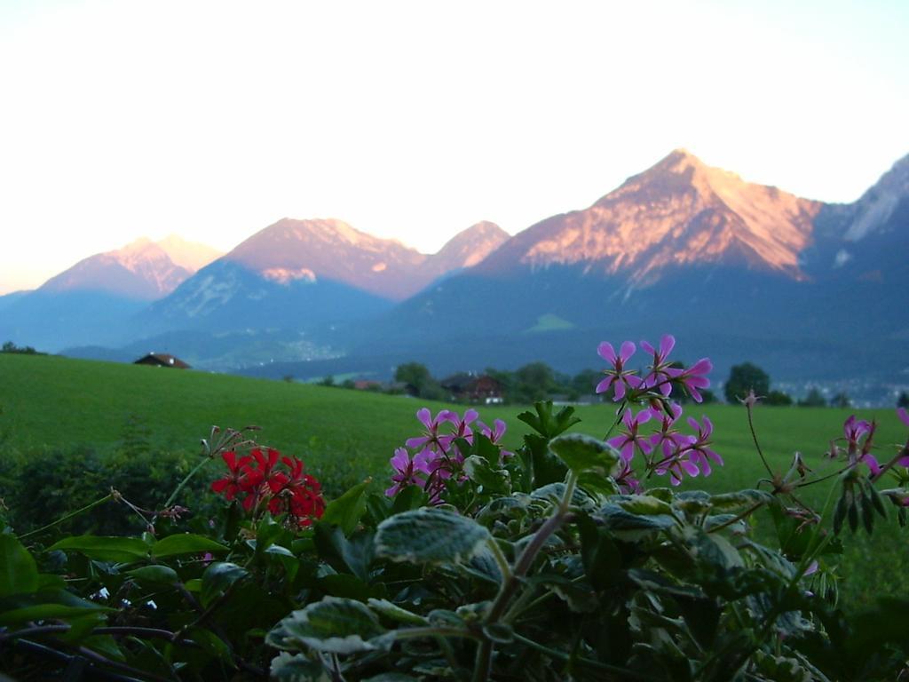 Pension Resi Reith im Alpbachtal Exteriör bild